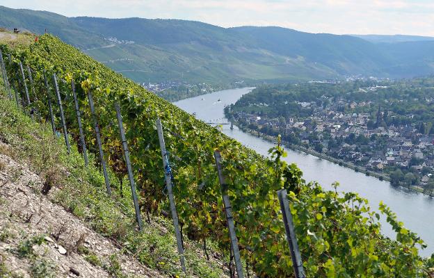 Steillagen Weinbau Mosel Steillagen Weinbau Mosel